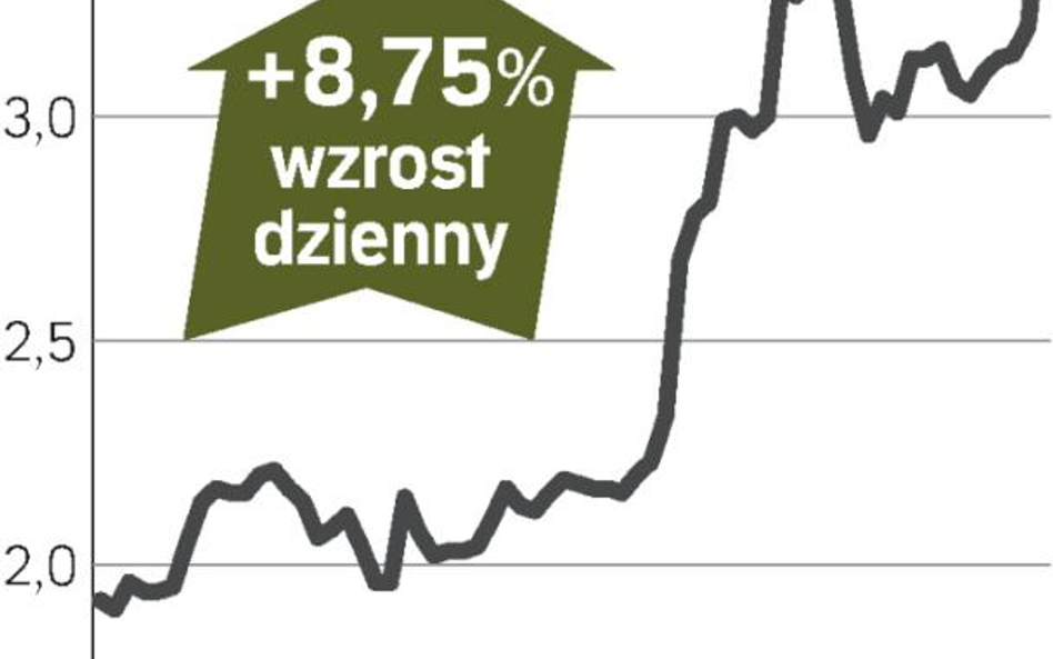 Prognozy roczne mocno w górę