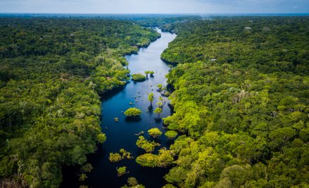 Amazonia wraca do życia pod rządami prezydenta Luli