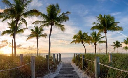 Rainbow Tours – mniej klientów, większa marża
