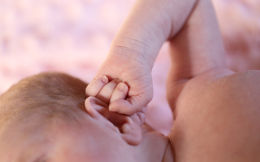 Pierwsze na świecie dziecko urodzone w wyniku przeszczepu macicy od zmarłej dawczyni