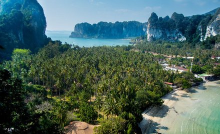 GIS ostrzega przed chorobami tropikalnymi