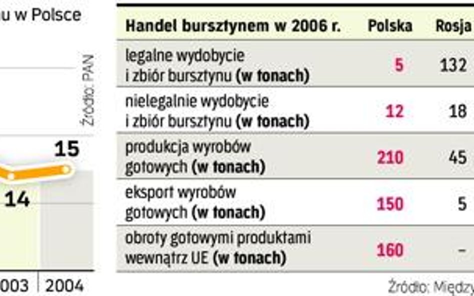 Jak można zarobić na jantarze