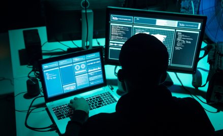 Oszuści internetowi z roku na rok są coraz aktywniejsi w Polsce
