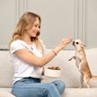 Agota Jakutyte założyła startup Zenoo doświadczona ciężką chorobą swojego psa. Teraz liczy  na ekspa