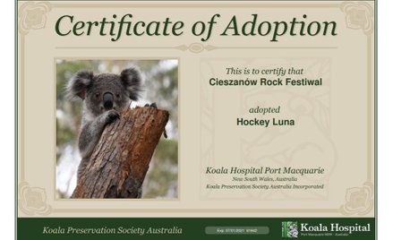 Cieszanów Rock Festival adoptował koalę