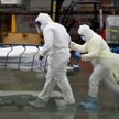 Liczba zakażeń koronawirusem SARS-CoV-2 w USA przekroczyła 7 mln