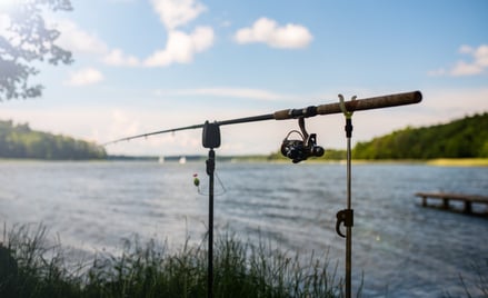 Ryba weźmie bez papieru. Noworoczna rewolucja dla wędkarzy