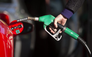 Opłata paliwowa: firmy transportowe mogą zbankrutować