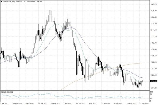 Notowania soi w USA – dane dzienne