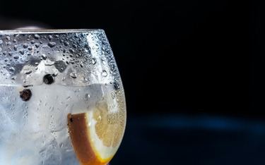 Idą nowe czasy: znany angielski gin w wersji bezalkoholowej