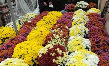 Kradli wiązanki z grobów. Policja szuka poszkodowanych