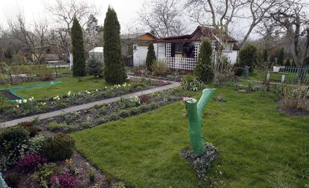 Polski Związek Działkowców: Działki to nie tereny zieleni pełniące funkcje publiczne