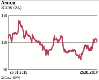 Europa Zachodnia jest największym rynkiem zbytu dla Amiki. Jej udział w przychodach grupy za I–III k