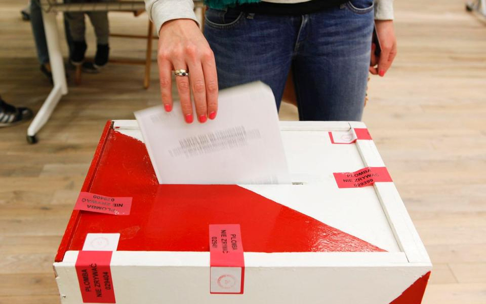 RPO apeluje ws. głosowania korespondencyjnego