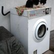Zepsuta pralka nie zawsze trafi na złom