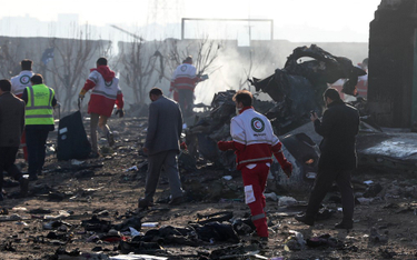 Świadkowie: Ukraiński samolot płonął, zanim runął na ziemię