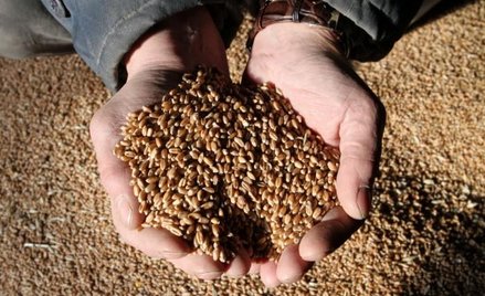 Rosja znosi zakaz eksportu