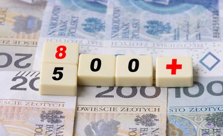 Robert Damski: Uprzedzaliśmy, że będą problemy z egzekucją komorniczą 800+, ale nikt nas nie słuchał