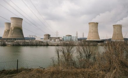 70 proc. może sięgnąć wkład polskich firm w realizację projektu jądrowego. Na inwestycje mogłyby wył