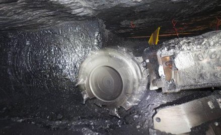 DM BZ WBK : skok przychodów i zysku Famuru