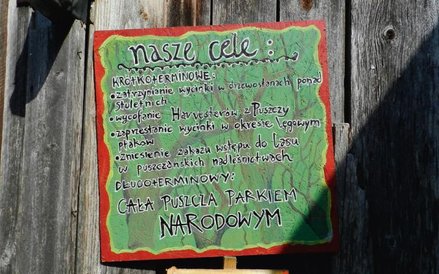 Postulaty ekologów protestujących przeciwko wycince. Najważniejszy z nich to nadanie całej puszczy s