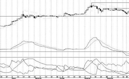 Byki tygodnia, czyli trzy spółki z szansami na zwyżki...