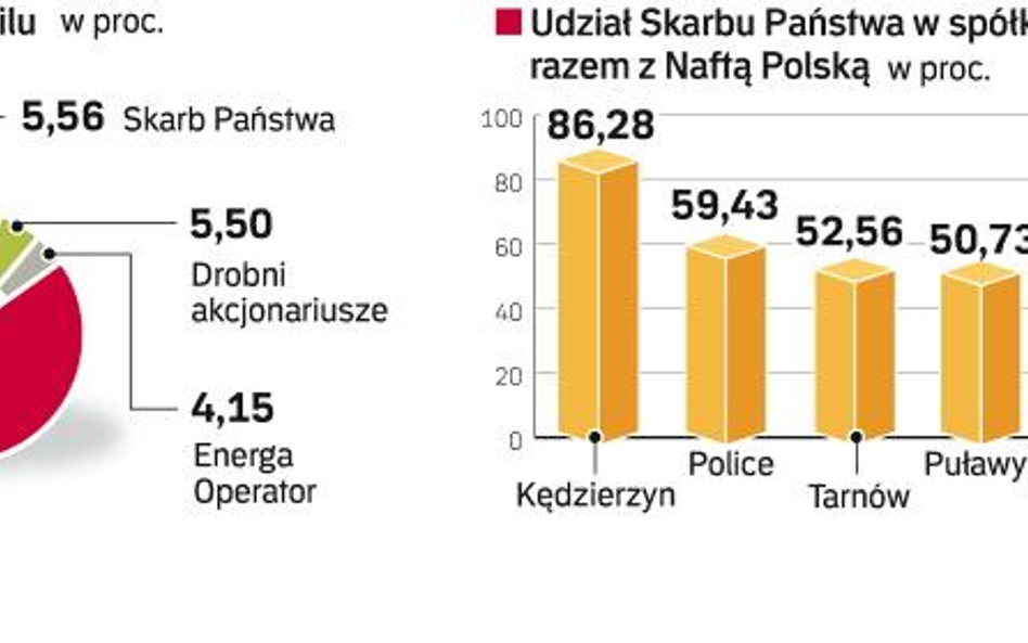 Spółkami chemicznymi interesują się inwestorzy arabscy. W prywatyzacji może wziąć udział koncern bra