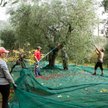 Polska drużyna zajęła trzecie miejsce na mało znanych mistrzostwach świata
