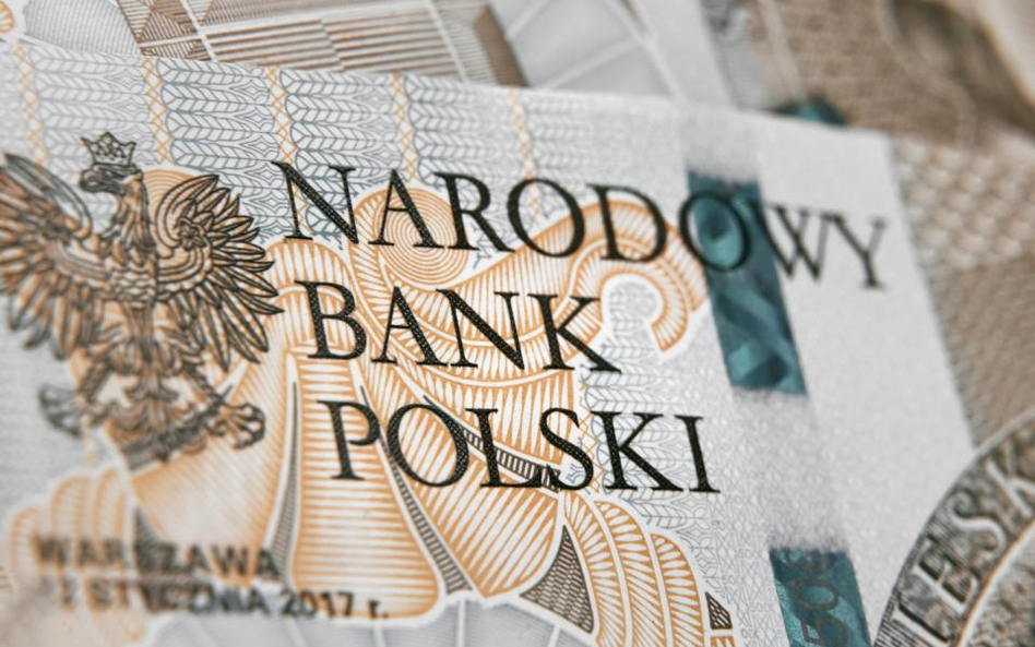 NBP zmodyfikował język, ale stóp długo nie zmieni