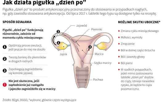 Jak działa pigułka „dzień po”