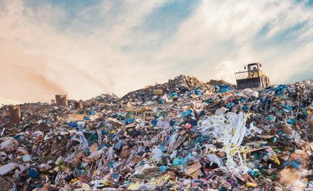 W połowie 2018. roku Ministerstwo Środowiska szacowało wielkość szarej strefy w branży gospodarki od