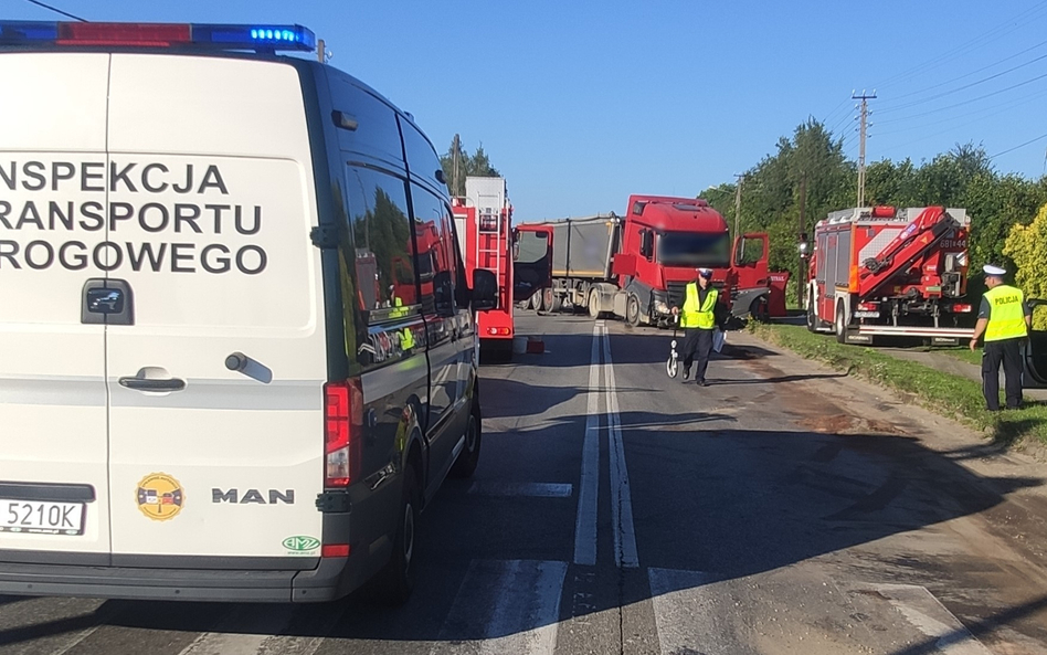 Trup na drogach ściele się gęsto