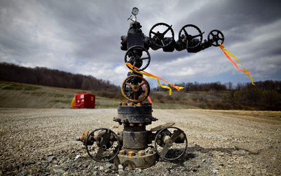 Firmy poszukujące gazu łupkowego domagają się zmian w prawie