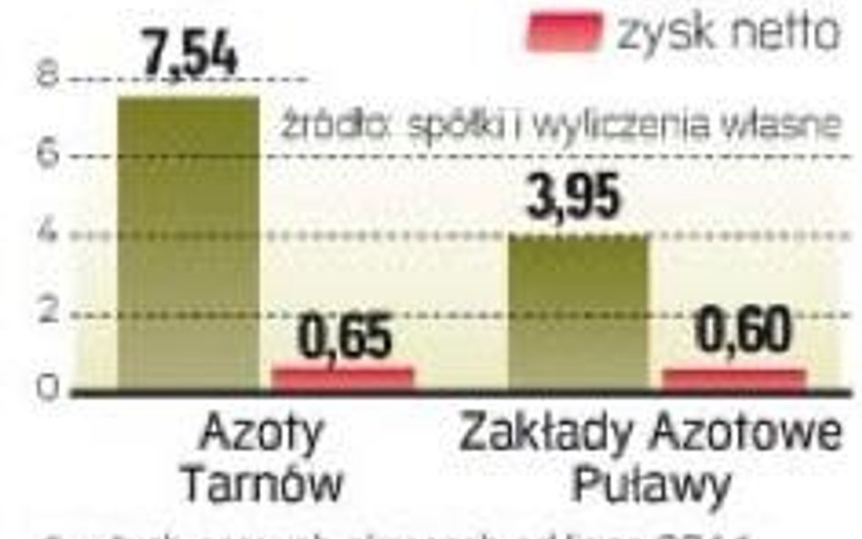 Potencjał grupy bliski 12 mld zł