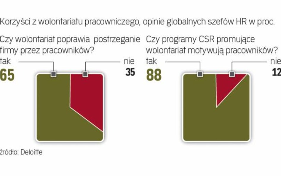 Atuty programu wolontariatu według szefów HR