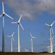 Nowa farma wiatrowa Tauronu