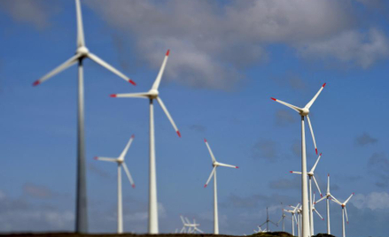 Nowa farma wiatrowa Tauronu