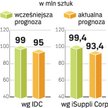 Analitycy prognozują krótkotrwałe spowolnienie rynku. W przyszłym roku ma być już znacznie lepiej.