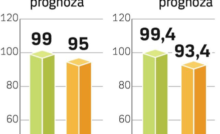 Analitycy prognozują krótkotrwałe spowolnienie rynku. W przyszłym roku ma być już znacznie lepiej.