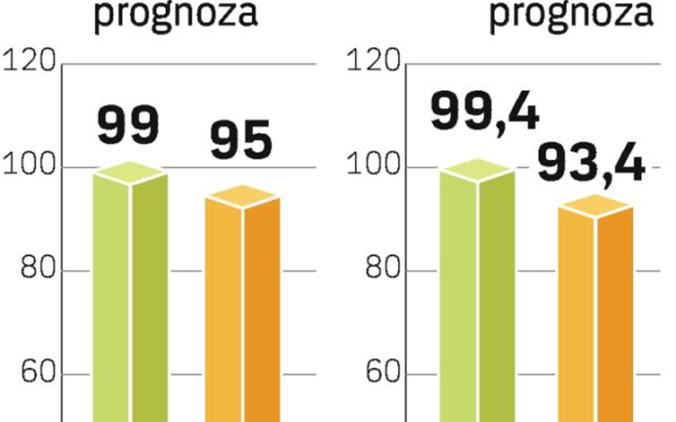 Analitycy prognozują krótkotrwałe spowolnienie rynku. W przyszłym roku ma być już znacznie lepiej.