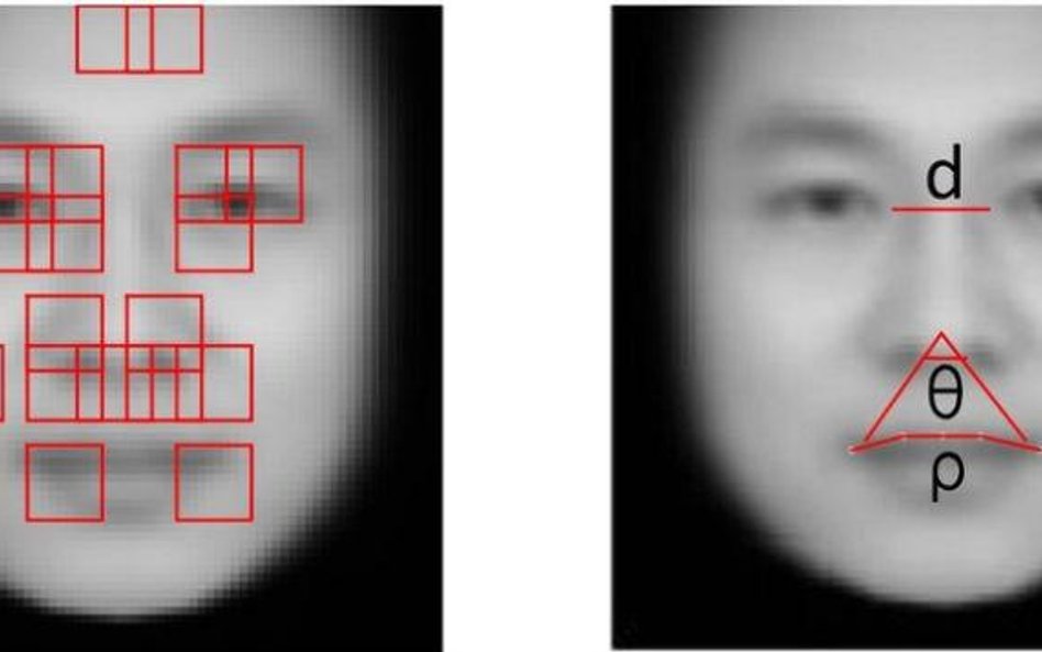 Sztuczna inteligencja dokonuje pomiarów na zdjęciach