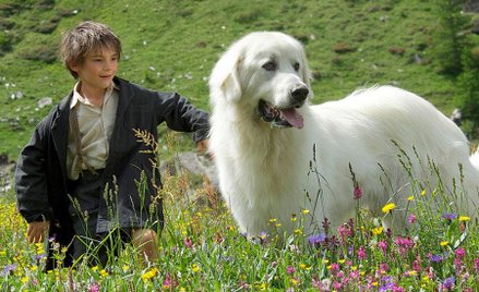 „Bella i Sebastian"