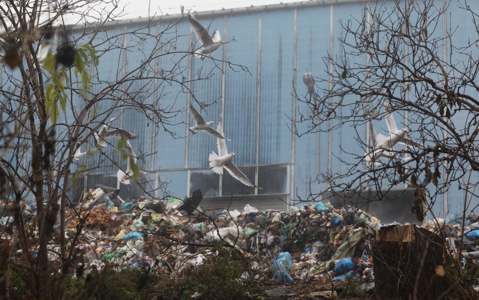Strażnicy miejscy sprawdzą spalane śmieci