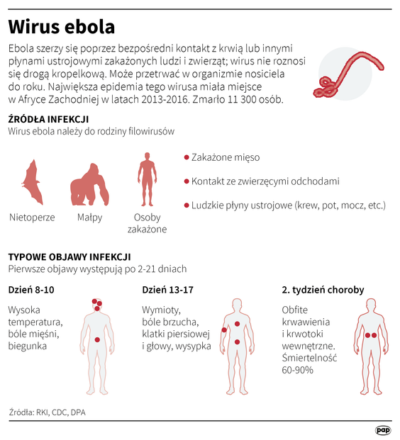 Wirus ebola