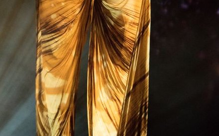 Owadzi świat organizuje się wokół tajemniczego jajka.