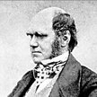 Karol Darwin