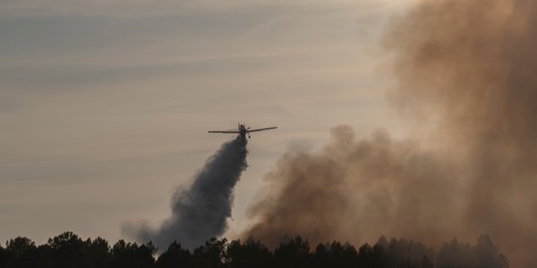 Nie żyje norweski milioner i jego ciężarna żona. Zginęli w katastrofie samolotu