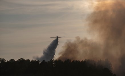 Do katastrofy samolotu, w której zginął norweski milioner, doszło w Gwatemali / zdjęcie ilustracyjne