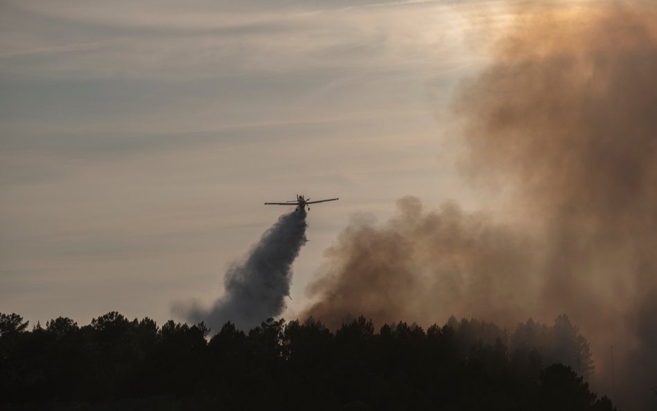 Do katastrofy samolotu, w której zginął norweski milioner, doszło w Gwatemali / zdjęcie ilustracyjne