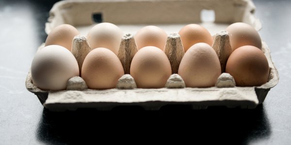 German Netto limits egg sales to two packs per customer amid supply shortage
